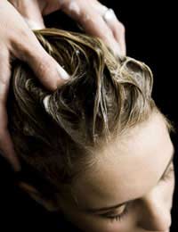 Brittle Hair Treatment Wash Blow Dry