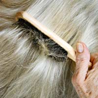 Ageing Hair Loss Thinning Changes Grey