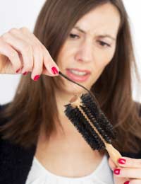 Hair Loss Depression Stress Hormone