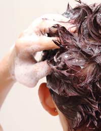 Hair Loss Condition Stop Hair Loss